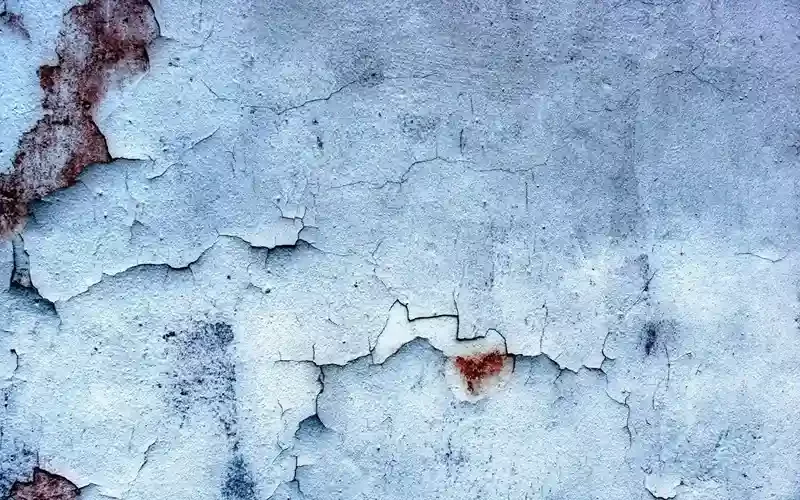 Paint Peels from Walls